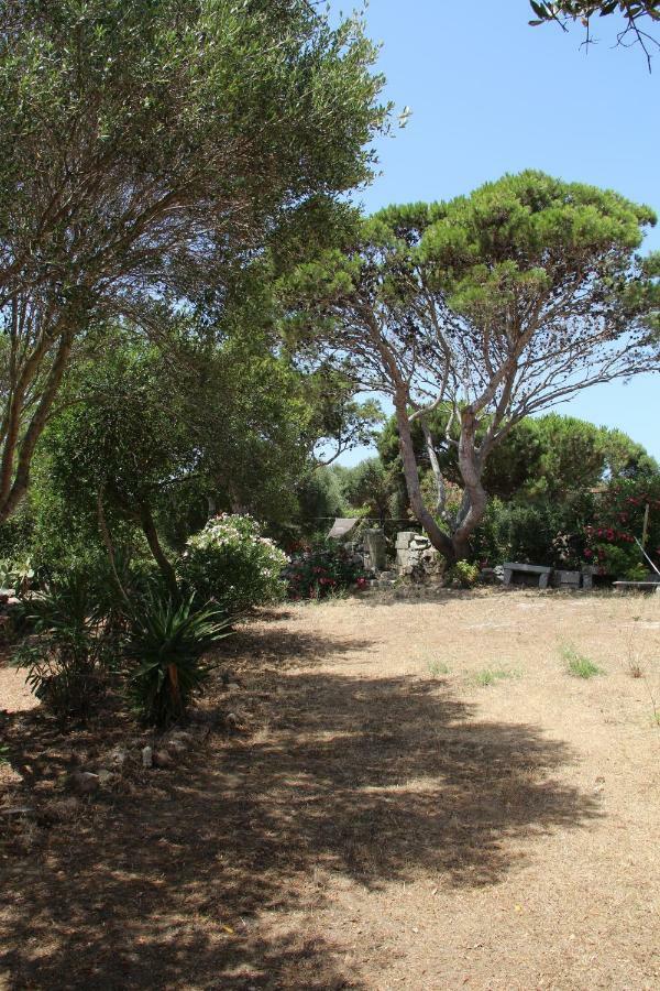 Le 25 Tartarughe Bed & Breakfast Santa Teresa Gallura Dış mekan fotoğraf