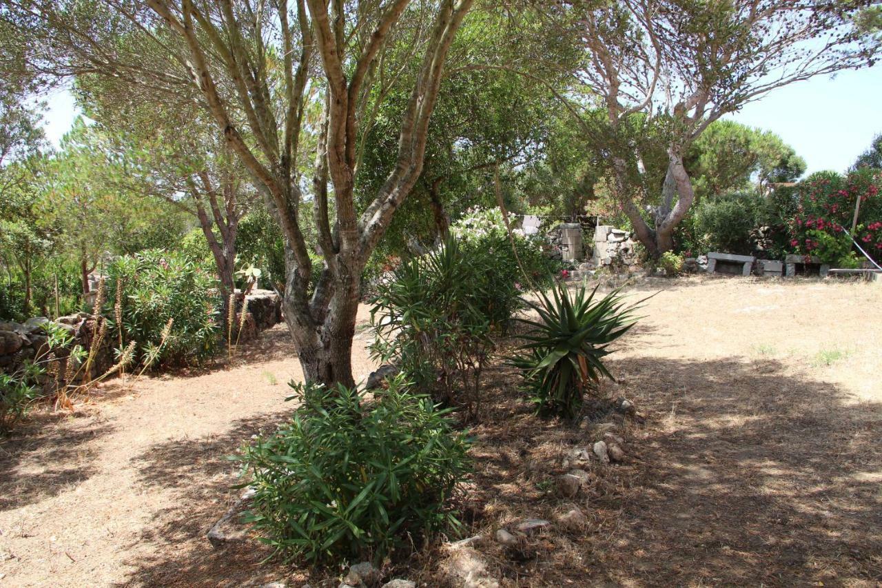 Le 25 Tartarughe Bed & Breakfast Santa Teresa Gallura Dış mekan fotoğraf