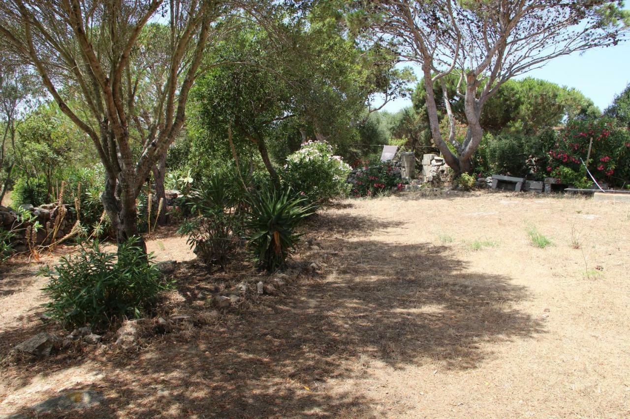 Le 25 Tartarughe Bed & Breakfast Santa Teresa Gallura Dış mekan fotoğraf