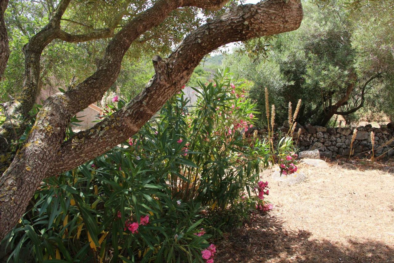 Le 25 Tartarughe Bed & Breakfast Santa Teresa Gallura Dış mekan fotoğraf