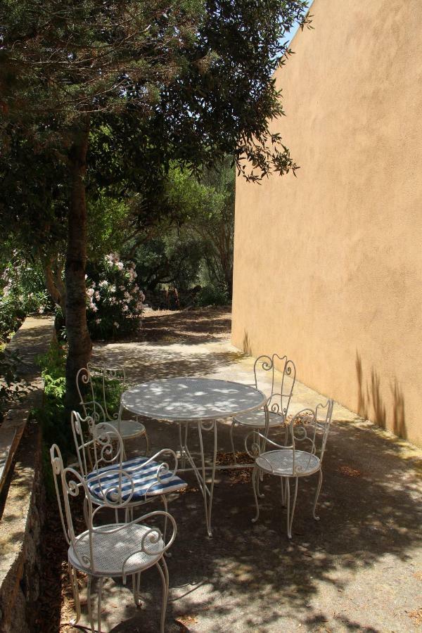 Le 25 Tartarughe Bed & Breakfast Santa Teresa Gallura Dış mekan fotoğraf