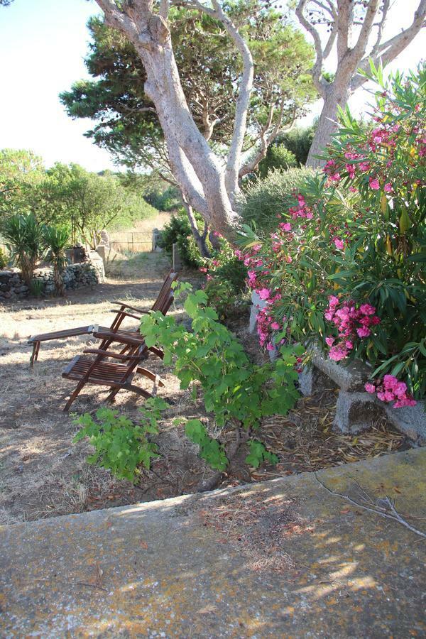 Le 25 Tartarughe Bed & Breakfast Santa Teresa Gallura Dış mekan fotoğraf