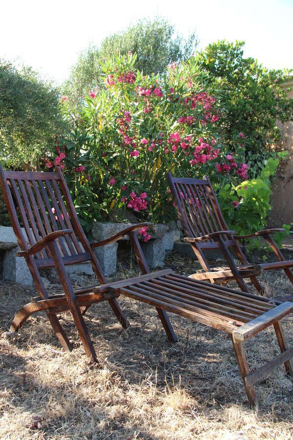 Le 25 Tartarughe Bed & Breakfast Santa Teresa Gallura Dış mekan fotoğraf